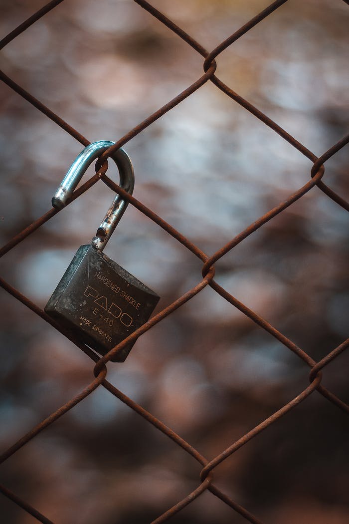 portfolio-01 A detailed close-up of a weathered padlock hanging on a chain link fence with blurred background.